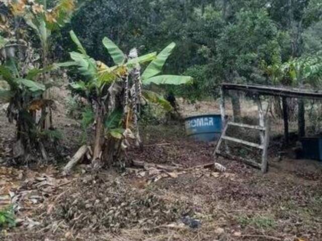 Casa para Venda em Nova Friburgo - 4