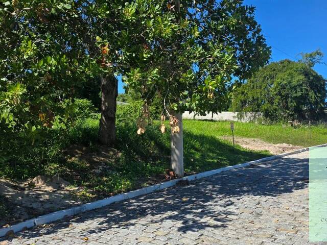 #1653 - Terreno para Venda em São Pedro da Aldeia - RJ - 2