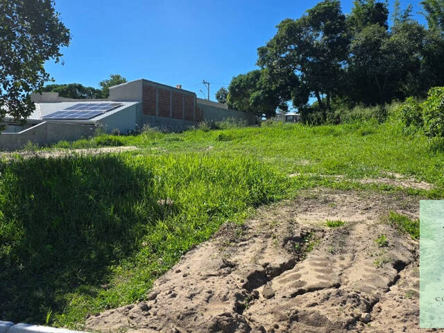 Terreno para Venda em São Pedro da Aldeia - 5