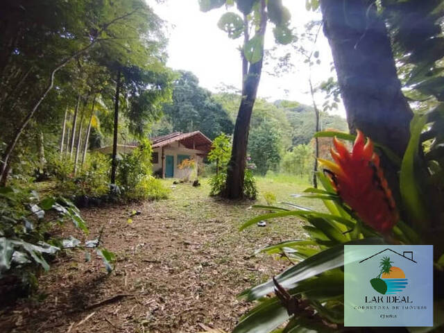 #1730 - Sítio para Venda em Nova Friburgo - RJ - 3