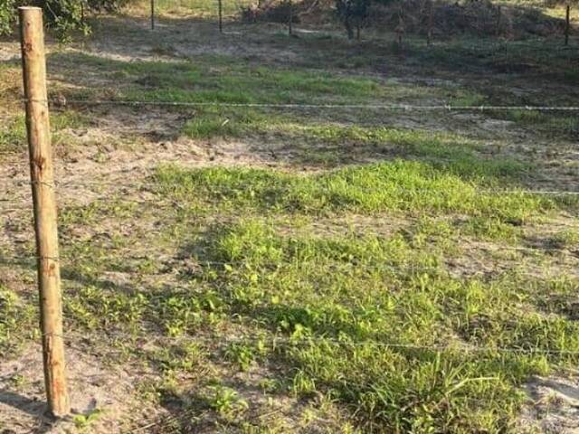 Terreno para Venda em São Pedro da Aldeia - 2