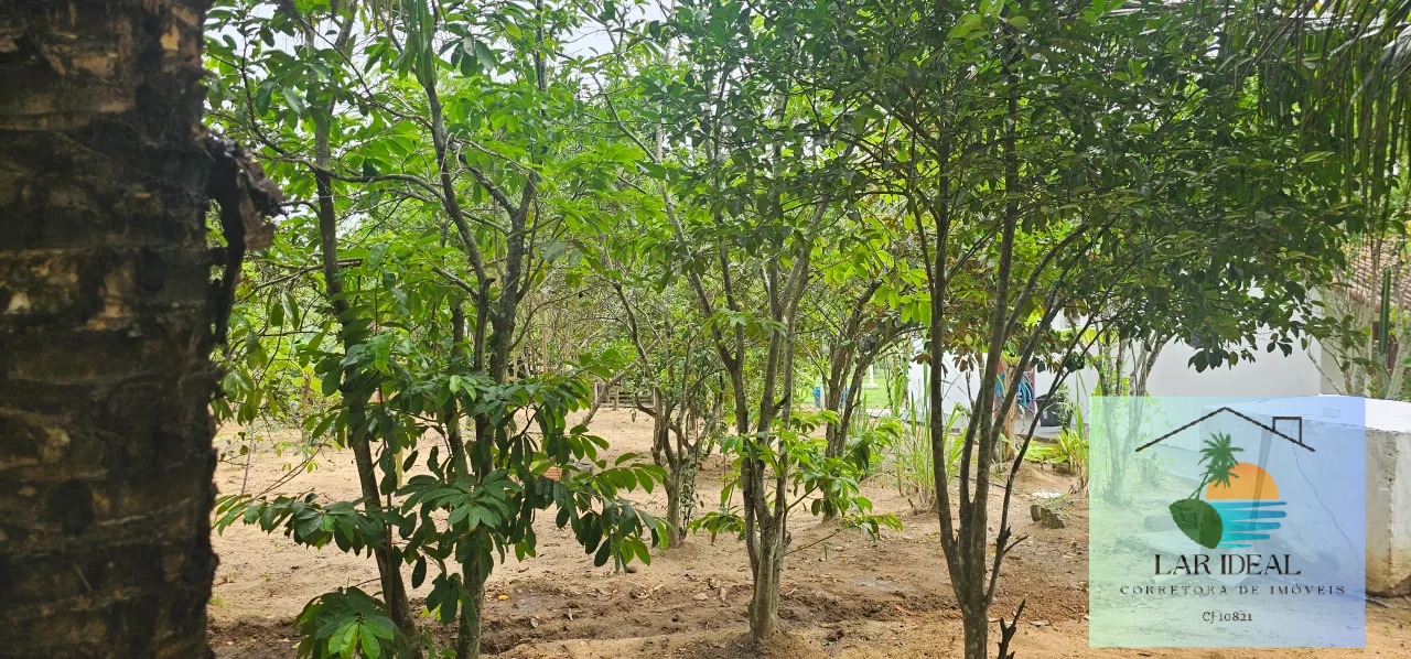 Sítio à venda com 2 quartos, 7800m² - Foto 8
