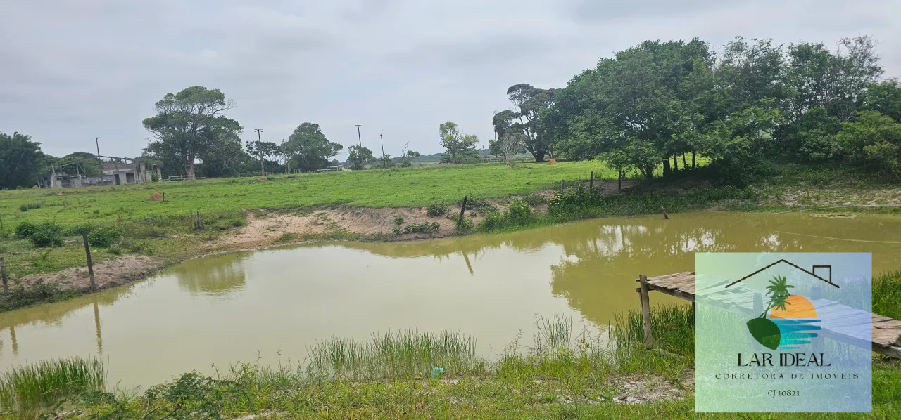 Sítio à venda com 2 quartos, 7800m² - Foto 9