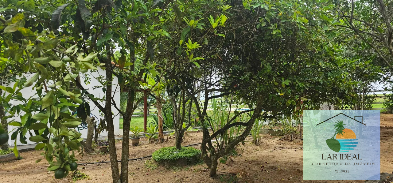 Sítio à venda com 2 quartos, 7800m² - Foto 13