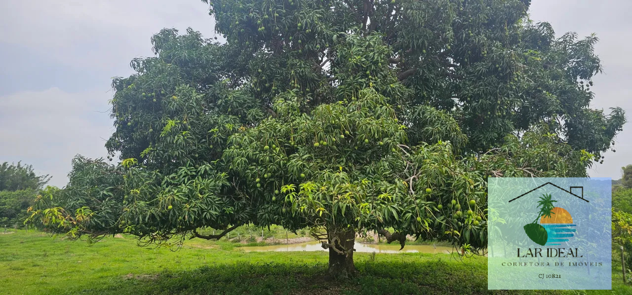Sítio à venda com 2 quartos, 7800m² - Foto 14
