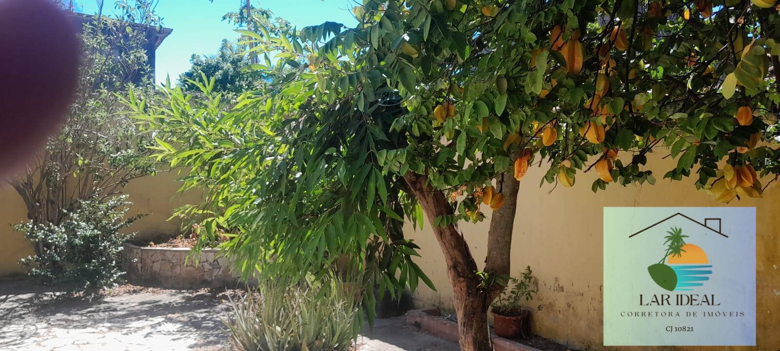 Casa à venda com 3 quartos, 153m² - Foto 6